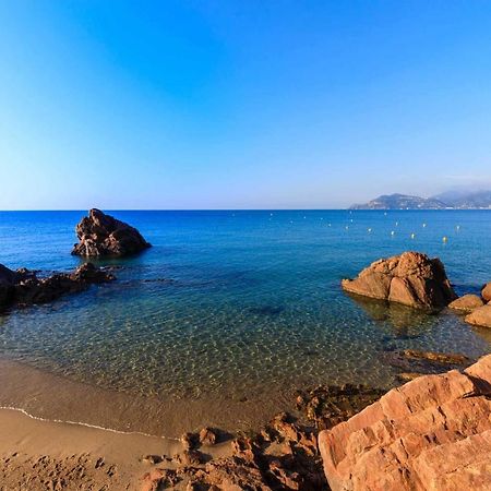 A 10 Min De La Croisette - Pieds Dans La Mer Cannes Dış mekan fotoğraf