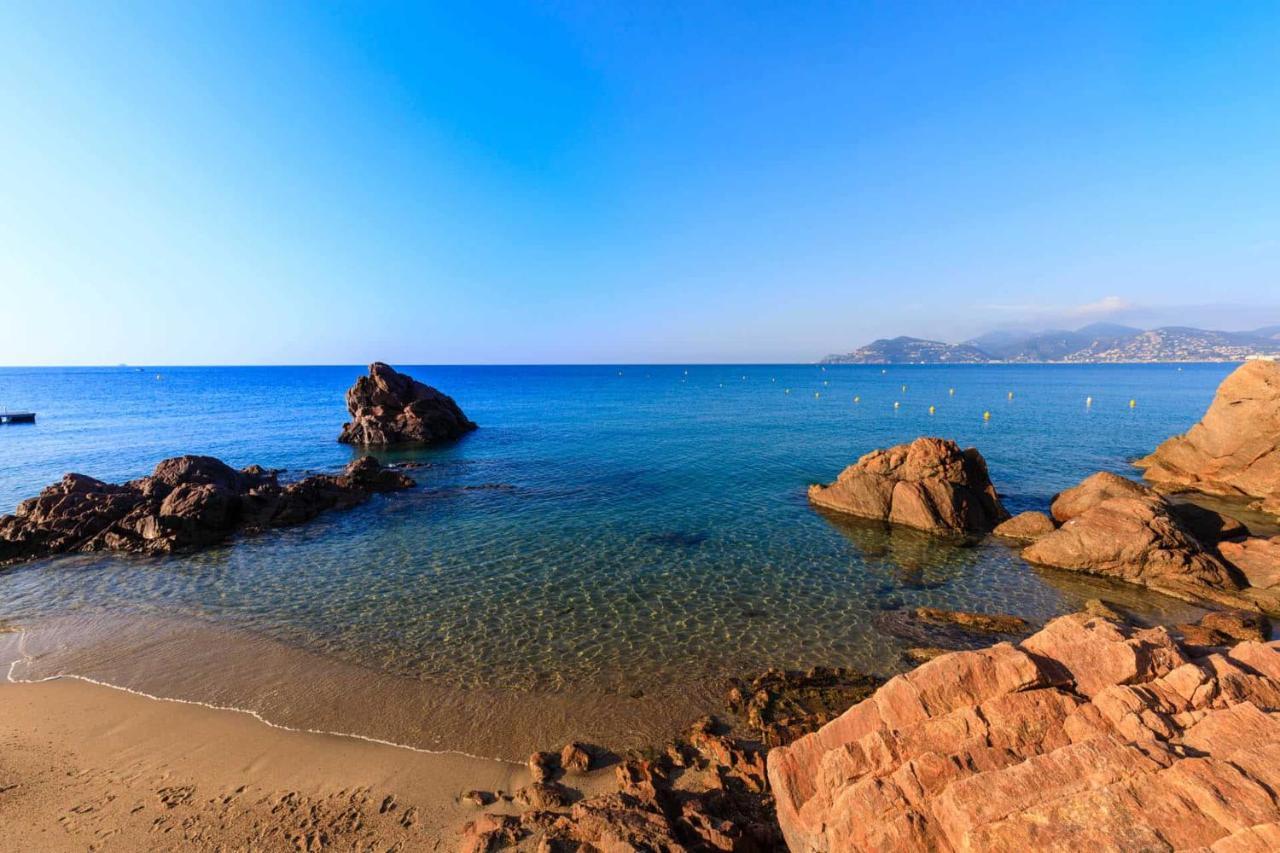 A 10 Min De La Croisette - Pieds Dans La Mer Cannes Dış mekan fotoğraf