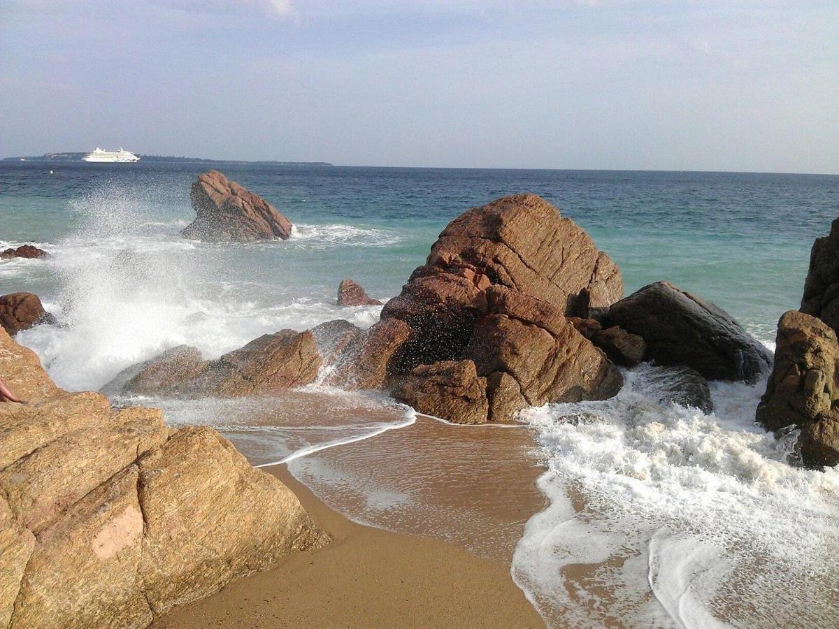 A 10 Min De La Croisette - Pieds Dans La Mer Cannes Dış mekan fotoğraf